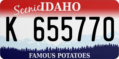 ID license plate K655770