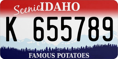ID license plate K655789