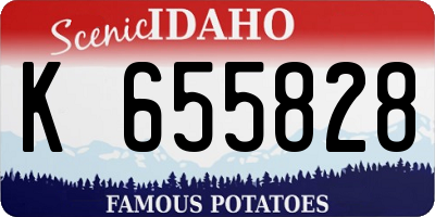 ID license plate K655828