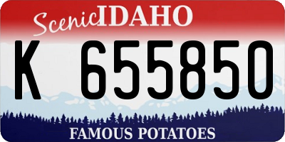 ID license plate K655850