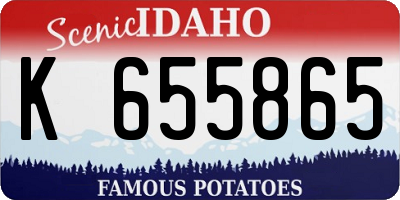 ID license plate K655865