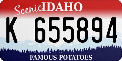 ID license plate K655894