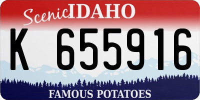 ID license plate K655916