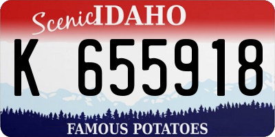 ID license plate K655918