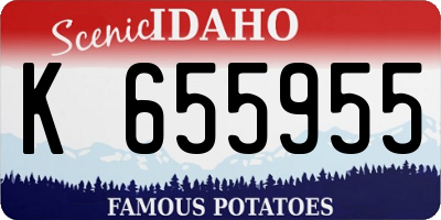 ID license plate K655955