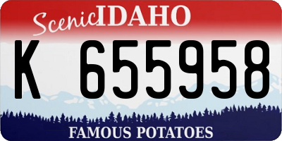 ID license plate K655958