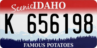 ID license plate K656198