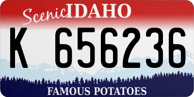 ID license plate K656236