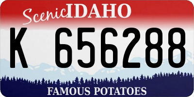 ID license plate K656288