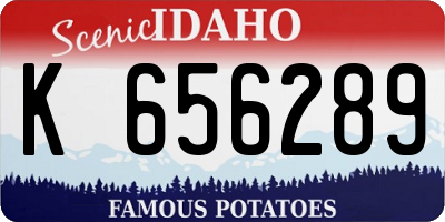 ID license plate K656289