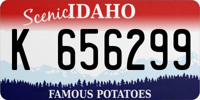 ID license plate K656299