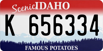 ID license plate K656334