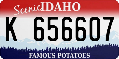 ID license plate K656607