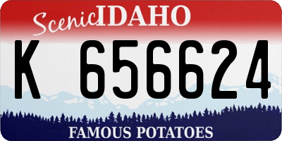 ID license plate K656624