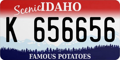 ID license plate K656656