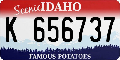 ID license plate K656737