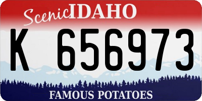 ID license plate K656973