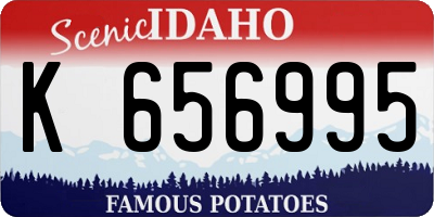 ID license plate K656995
