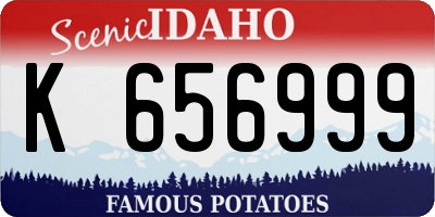 ID license plate K656999