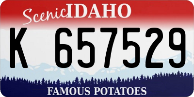 ID license plate K657529