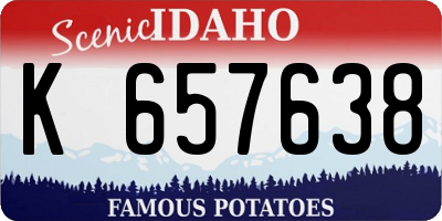 ID license plate K657638