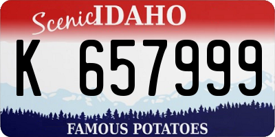 ID license plate K657999