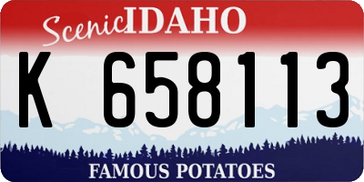 ID license plate K658113