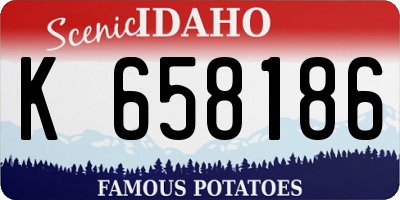 ID license plate K658186