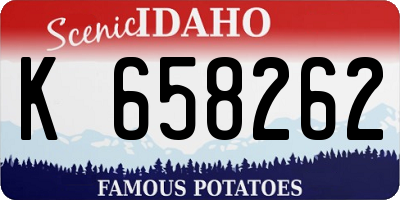 ID license plate K658262