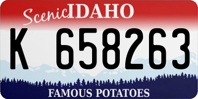 ID license plate K658263