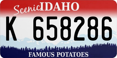 ID license plate K658286