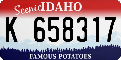 ID license plate K658317
