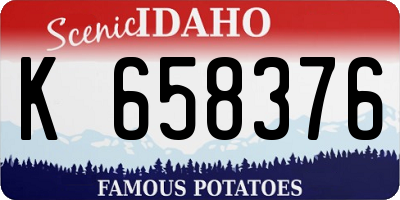 ID license plate K658376