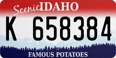 ID license plate K658384