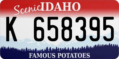 ID license plate K658395