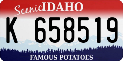 ID license plate K658519