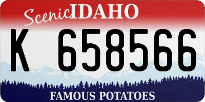 ID license plate K658566