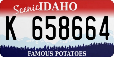 ID license plate K658664