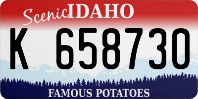 ID license plate K658730