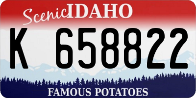 ID license plate K658822