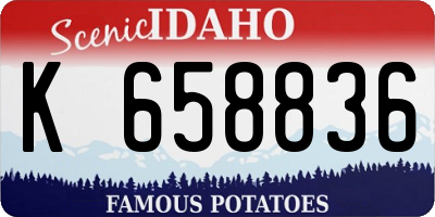 ID license plate K658836