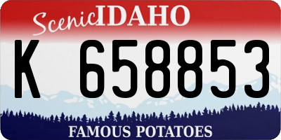 ID license plate K658853