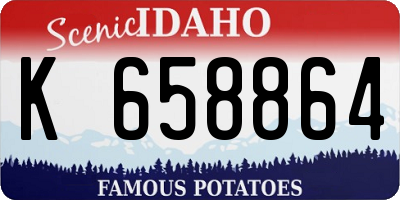 ID license plate K658864