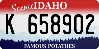 ID license plate K658902