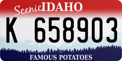 ID license plate K658903