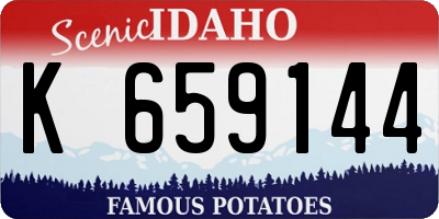 ID license plate K659144