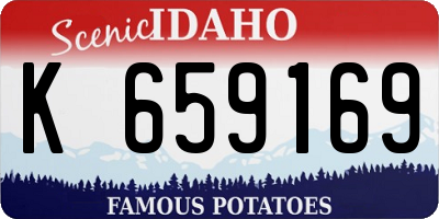 ID license plate K659169