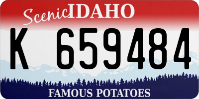 ID license plate K659484