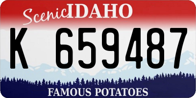 ID license plate K659487