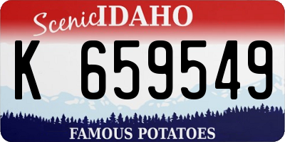 ID license plate K659549